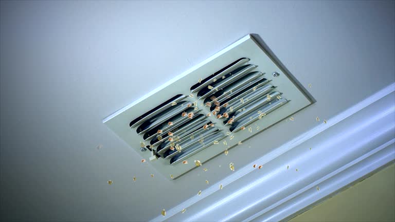 Best Commercial HVAC Duct Cleaning  in Gardnerville Ranchos, NV