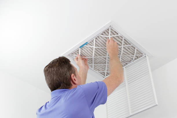 Best Dryer Vent Cleaning Services  in Gardnerville Ranchos, NV